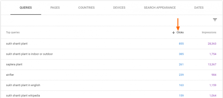 Google Search Console Performance Data